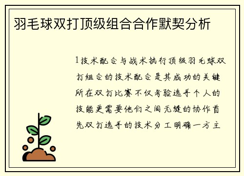 羽毛球双打顶级组合合作默契分析